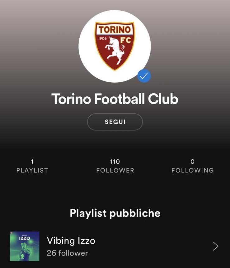 torino profilo ufficiale spotify