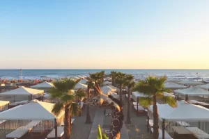 del vecchio acquista twiga briatore