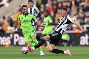 newcastle-united-v-fulham-premier-league