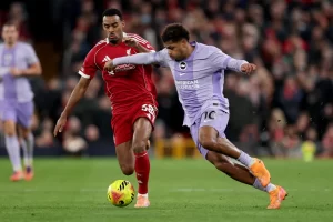 liverpool-v-brighton-and-hove-albion-premier-league