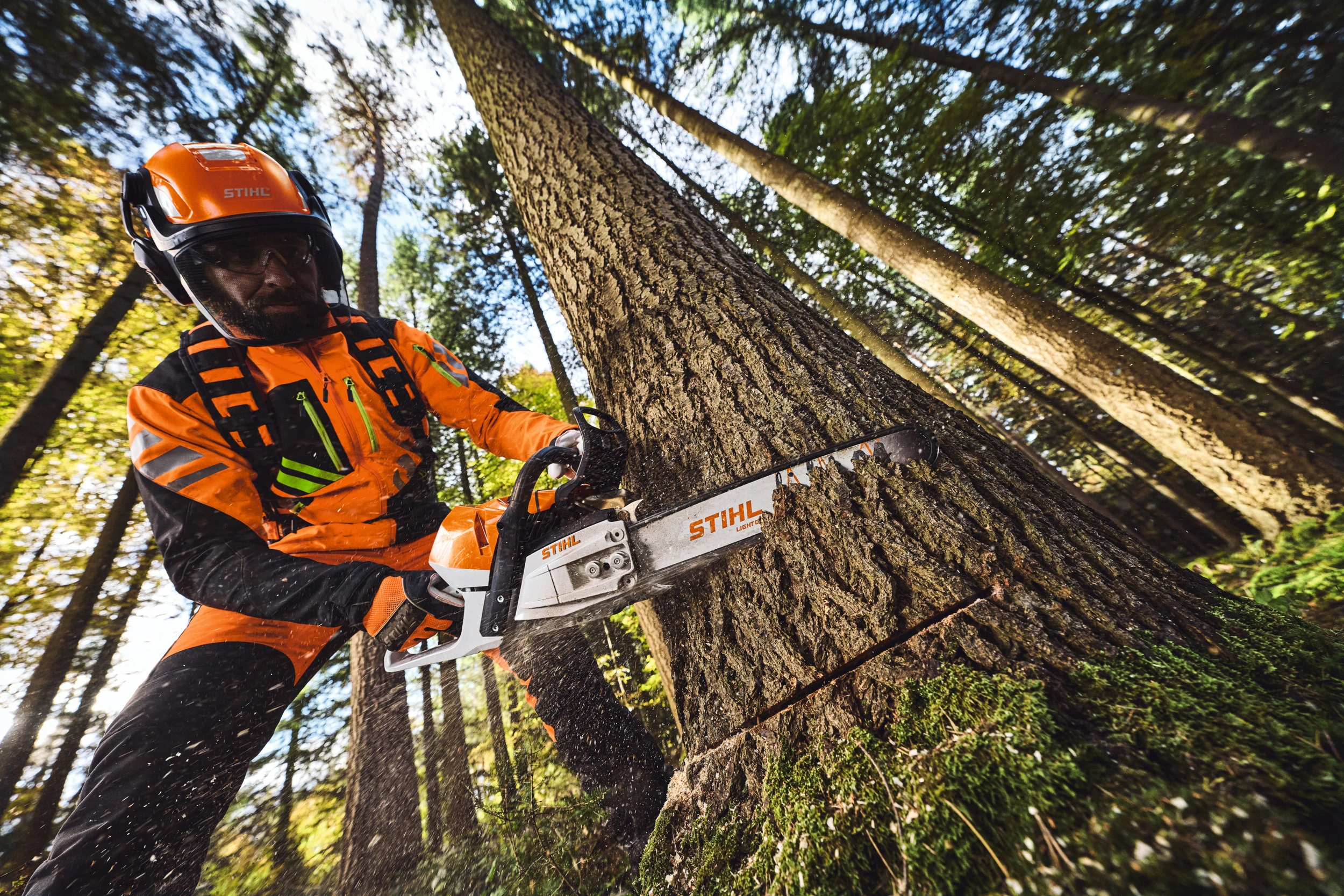 STIHL celebra 100 anni STIHL celebra 100 anni