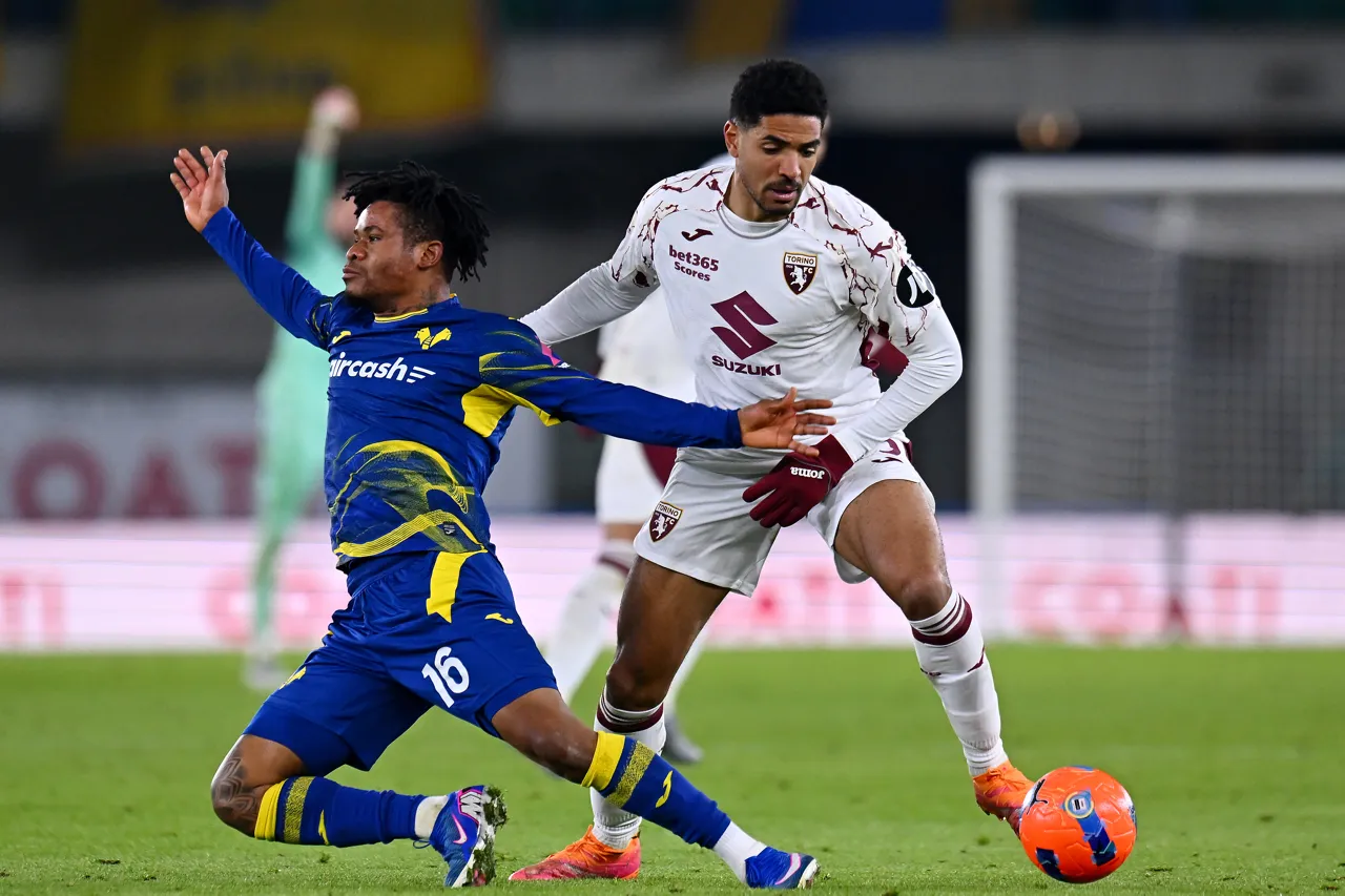 hellas-verona-fc-v-torino-fc-serie-a