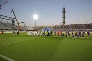 stadio franchi